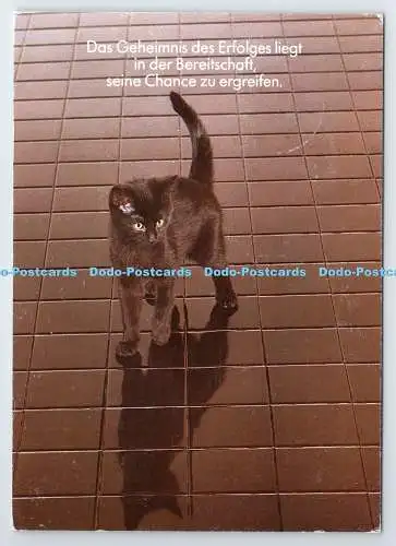 D338314 Das Geheimnis Des Erfolgs Liegt in der Bereitschaft. Kat. Houtland. Bru