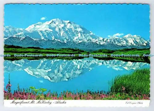 D338350 Alaska. Herrlicher Mt. McKinley. Ed Cooper. Arctic Circle Enterprises.