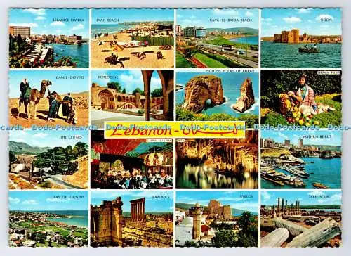 D336441 Libanon. Die Zedern. Jack P. Dadian. Krüger. Multi View