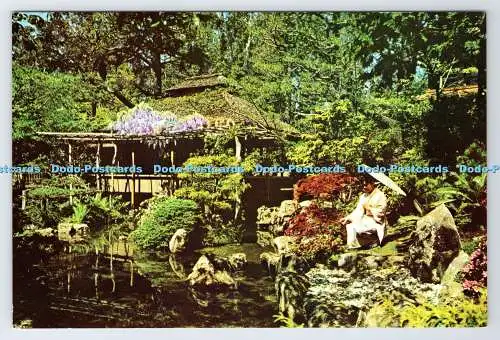 D336458 San Francisco. Japanischer Teegarten. Japanischer Teegarten. Mike Roberts. T