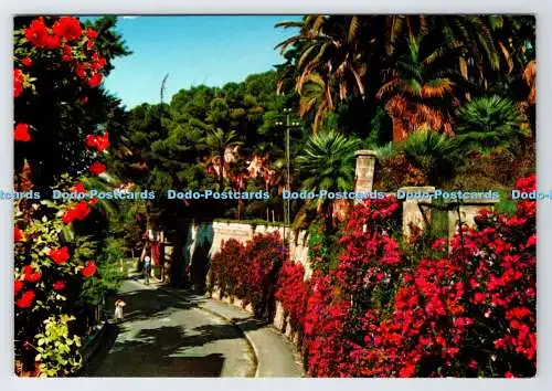 D338428 Bordighera. Riviera dei Fiori. Romano Street. Casa Delle Cartoline. Rota