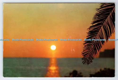 D3388470 Sonnenuntergang. Gewerbliche Pampa