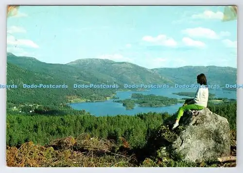 D338472 Norge. Vradal. Telemark. Normann