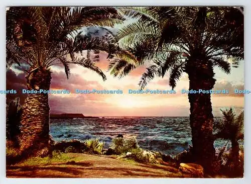 D336586 Teneriffa. Puerto de la Cruz bei Sonnenuntergang. W. Segschneider. H. W. Hintz