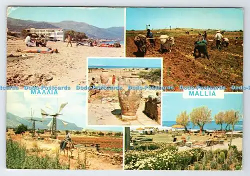 D336603 Mallia. Kreta. G. Loucatos. Athen. Multi View