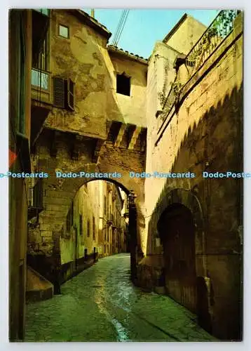 D338532 Mallorca. Balearen. Espana. Palma. Arco Arabe en la Calle de la Almudain