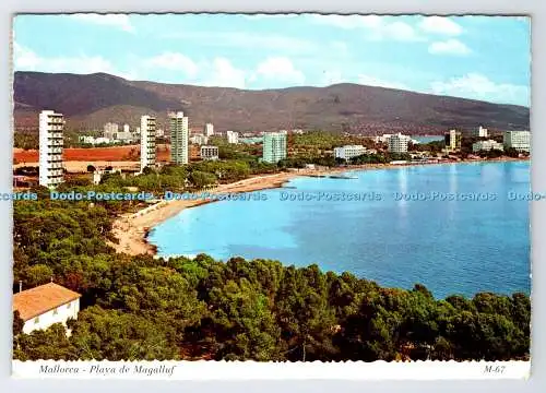 D338537 Mallorca. Playa de Magalluf. Bohigas