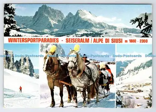 D336629 Wintersportparadies. Seiseralm Seiseralm. S. Trocker. Multi View