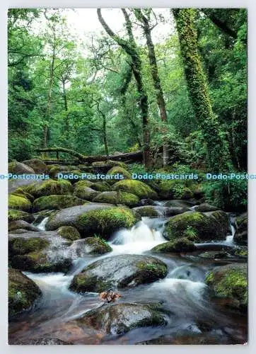 D336695 Dartmoor. Becky Falls. Barclays