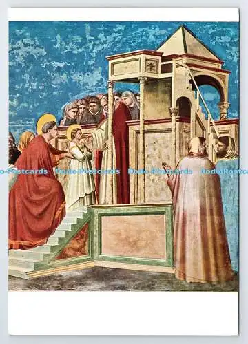 D336732 Cappella degli Scrovegni. Padua. Presentazione Della Vergine al Tempio.