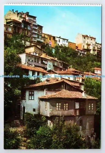 D338659 Veliko Tirnovo. Bulgarien. T. Iordanoa