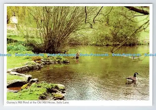 D336700 Gurney Mill Pond am Old Mill House. Salzsee. Richter. Marion Boorm