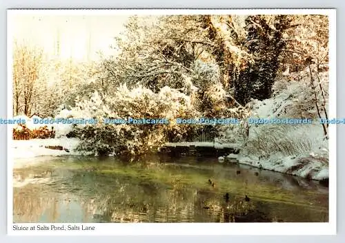 D336755 Schleuse am Salzteich. Salts Lane. Richter. Duncan Edwards