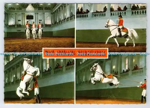D336763 Wien. Spanische Hofreitschule. Multi View