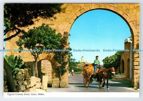 D336764 Gozo. Malta. Typische Country-Szene. Printex. Kathedrale Bibliothek Sliema