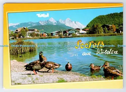 D338690 Seefeld. Am Wildsee. Tirol. Mit Wettersteingebirge. Lohmann Color