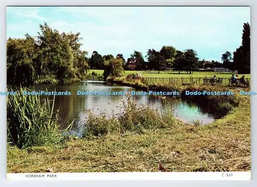 D336779 Horsham Park. Richter. C. 553
