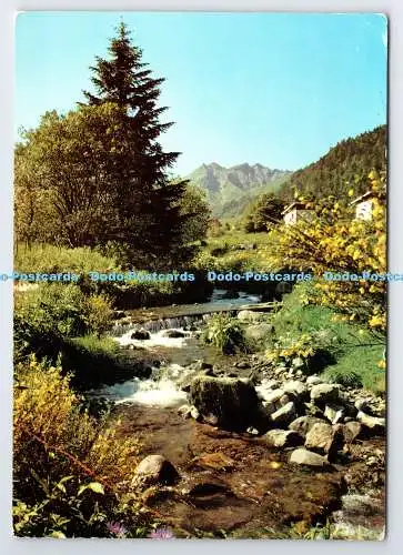 D336791 Le Sancy. Et la Dordogne au Printemps. Lys. Wie De Coeur. PM. Bergerac. D