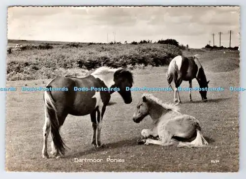 D336797 Dartmoor Ponys. RP. PM. Kingsbridge. Devon. 1960