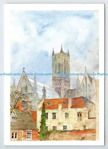 D338723 Lincoln vom Vicars Court. David Cuppleditch