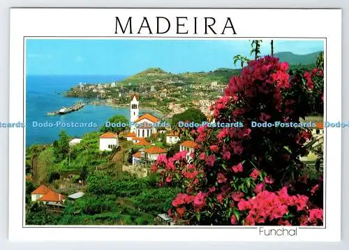 D336812 Madeira. Funchal. Western View. Hans Huber. F. Ribeiro