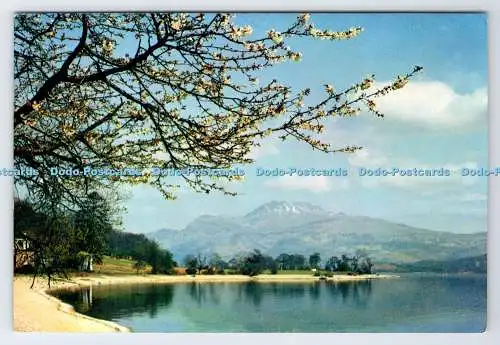 D338754 Dunbartonshire. Loch Lomond und Ben Lomond. Von Luss. J. Arthur Dixon.