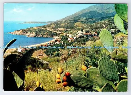 D338786 Isola D Elba. Marina di Campo. Cavoli. M. und G. Tognoli. S.A.R