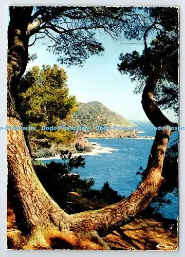 D336923 Cote d Azur. Cim. PM. Juan Les Pins. Alpes Mmes. 1980