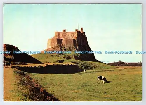 D338861 Northumberland. Holy Island. Schloss Lindisfarne. Colin Richardson Printe