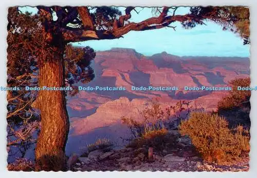 D336924 Sonnenuntergang am Arizona Grand Canyon. Petley Studio. Phönix. Arizona. Hubert