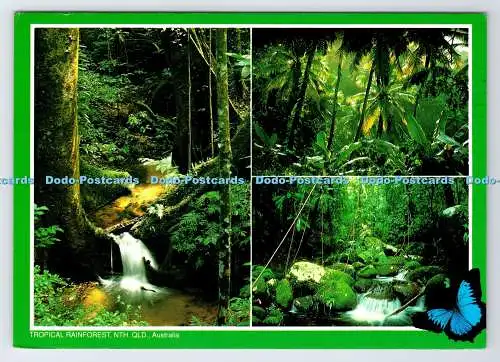 D338875 Tropischer Regenwald. Australien. North Queensland. Peer Productions. P.G