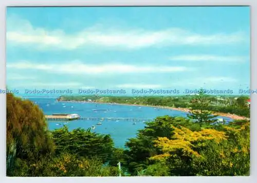 D338880 Vic. Sorrent. The Front Beach. Rose Stereograph. Rose Series Colorview