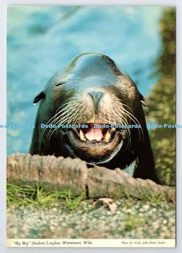 D336950 Warminster. Wilts. Longleat. Big Boy. Sealion. John Hinde. D. Edel