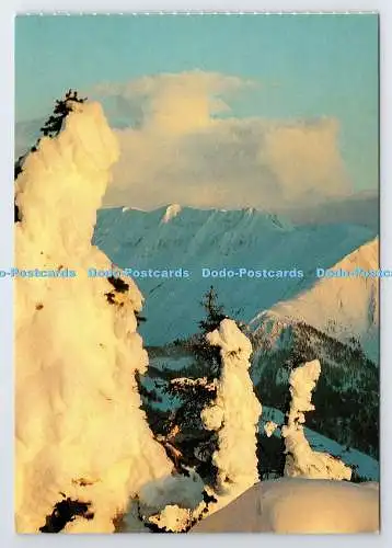 D336967 Bettmeralp. Wallis. Schweiz. Postkartenkalender Bergtraume. J. Berg. Eig