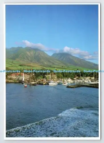 D337037 Ein Blick auf die Stadt Lahaina vom Meer aus. Sugar Cane Fields and the West Maui