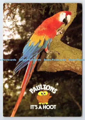 D337050 Paultons It s a Hoot. Ara. J. Arthur Dixon