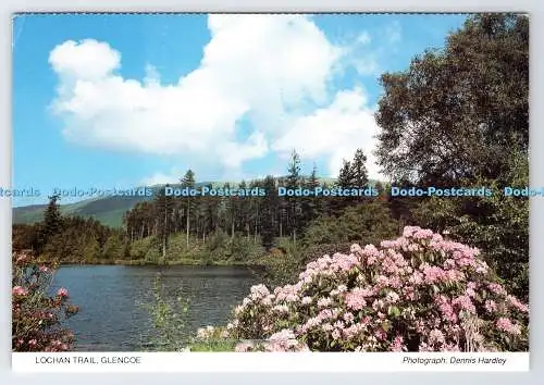 D338998 Glencoe. Lochan Trail. Schottische Heimat und Land. Enthüllungen Aberfeldy.