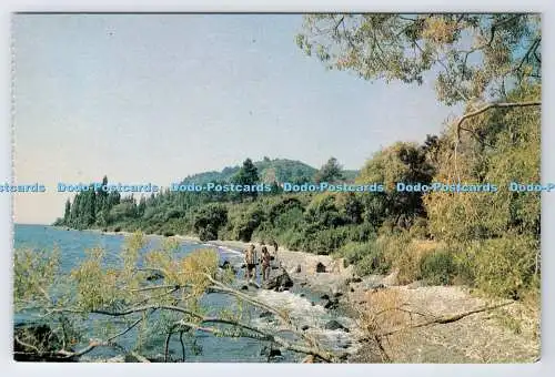 D337057 N.Z. Taupo. Mission Bay. Souvenirhändler. Amba Grafik. PM. Auck