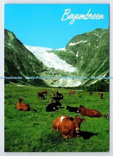 D339010 Norwegen. Blick auf Fjaerland. Sogn. Richtung Jostedal-Gletscher. Normann. Will