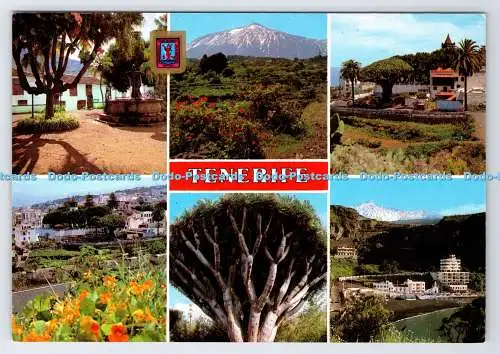 D337070 Teneriffa. verschiedenen Aspekten. Fisa. Armando Perez. 1987. Multi View