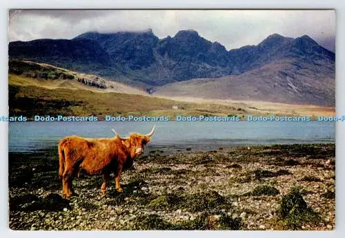 D339026 Isle of Skye. Blaven von Loch Slapin. J. Arthur Dixon. Inverness