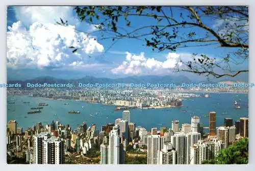 D337082 Hongkong und Kowloon vom Gipfel. Der Lux