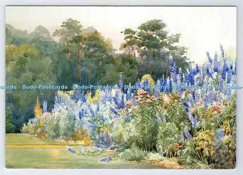 D339042 London. Christopher Wood Gallery. Delphinium Pier Point. Helen Crofton.