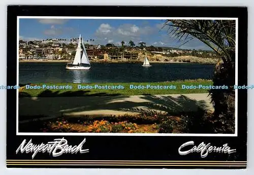 D339053 California. Newport Beach. Kontinentale Postkarte. Mike Elkhansa
