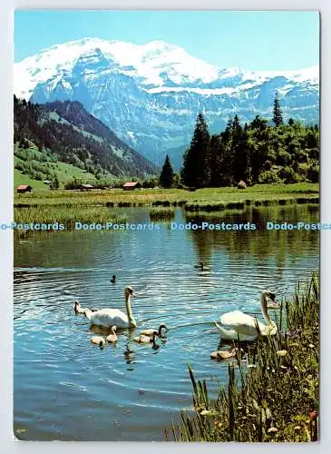 D337112 Lenk. Berner Oberland. Lankersee Mit Wildstrubel. Zwahlen