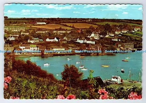 D339065 Irland. Kinsale Co. Cark. Dexter. N.P.O