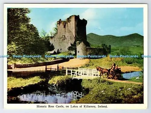 D339068 Irland. Historisches Ross Castle. Auf den Seen von Killarney. Killarney Printing