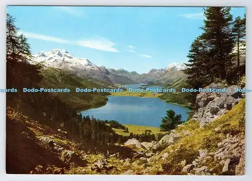 D337130 Engadin Mit Piz La Margna. Engadin Presse