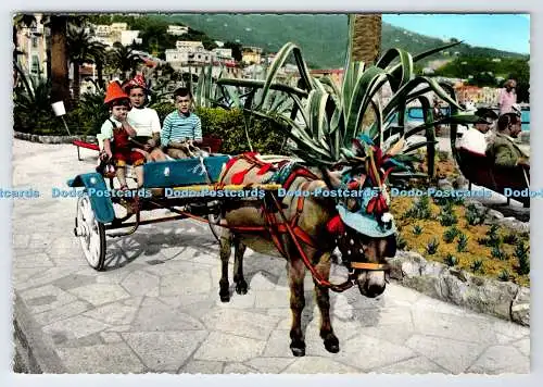 D337137 Rapallo. Trab Little Ass. Stich. Grafico Cesare Capello