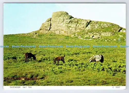 D337138 Dartmoor. Heu Tor. Richter. C. 3337